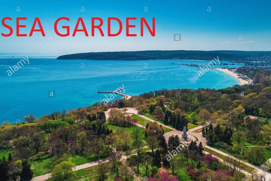 Sweet Home Near The Sea Βάρνα Εξωτερικό φωτογραφία